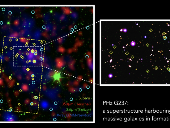 Several instruments joined forces to produce this image of the G237 protocluster, identifying its galaxies in different colors representing different wavelengths of observations.