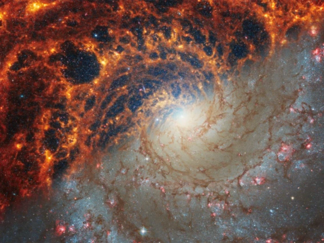 A spiral-shaped galaxy in space